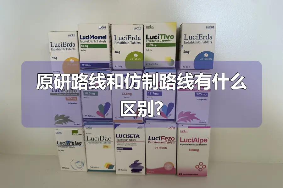 原研路线和仿制路线有什么区别?